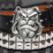 BULLDOG -  - BELT BUCKLE